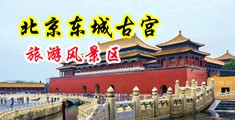 操小美女嫩b中国北京-东城古宫旅游风景区